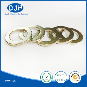 Permanent Sintered Magnetic Material NdFeB Ring Magnet for Motor (DRM-022)